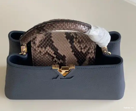 VUITTON BB CAPUCINES LOUIS 0430
